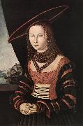 CRANACH, Lucas the Elder Portrait of a Woman dfg France oil painting artist